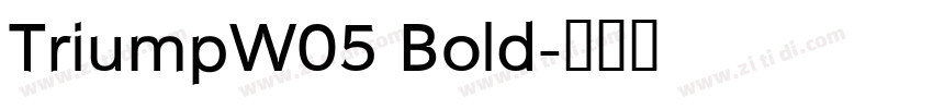 TriumpW05 Bold字体转换